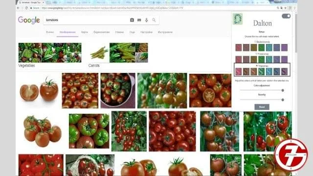 11- إضافة Colorblind - Dalton لجوجل كروم