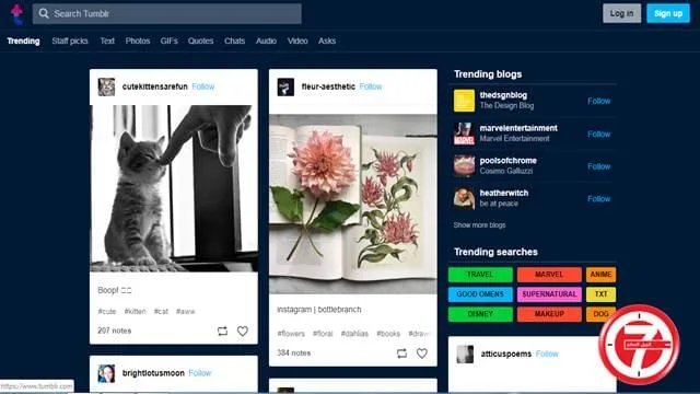 منصة Tumblr تحتوي على خلفيات مدهشة
