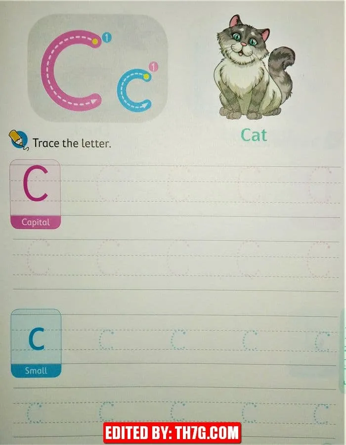 ورقة عمل لتعلم كتابة الحروف الإنجليزية كابيتال وسمول 3