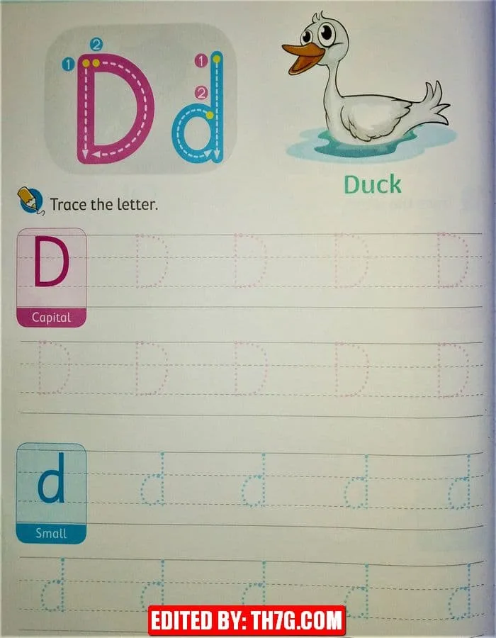 ورقة عمل لتعلم كتابة الحروف الإنجليزية كابيتال وسمول 4