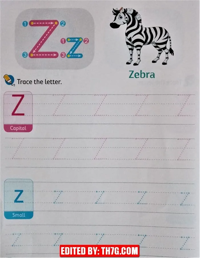 ورقة عمل لتعلم كتابة الحروف الإنجليزية كابيتال وسمول 26
