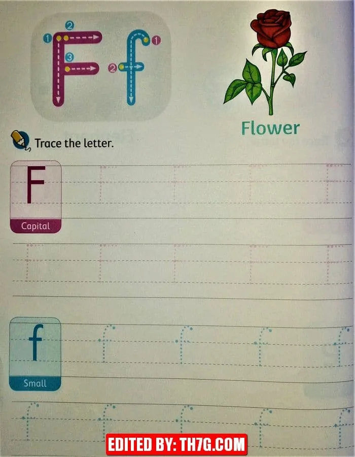 ورقة عمل لتعلم كتابة الحروف الإنجليزية كابيتال وسمول 6