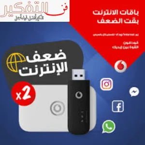 ما هو سعر فلاشة نت فودافون للبيع