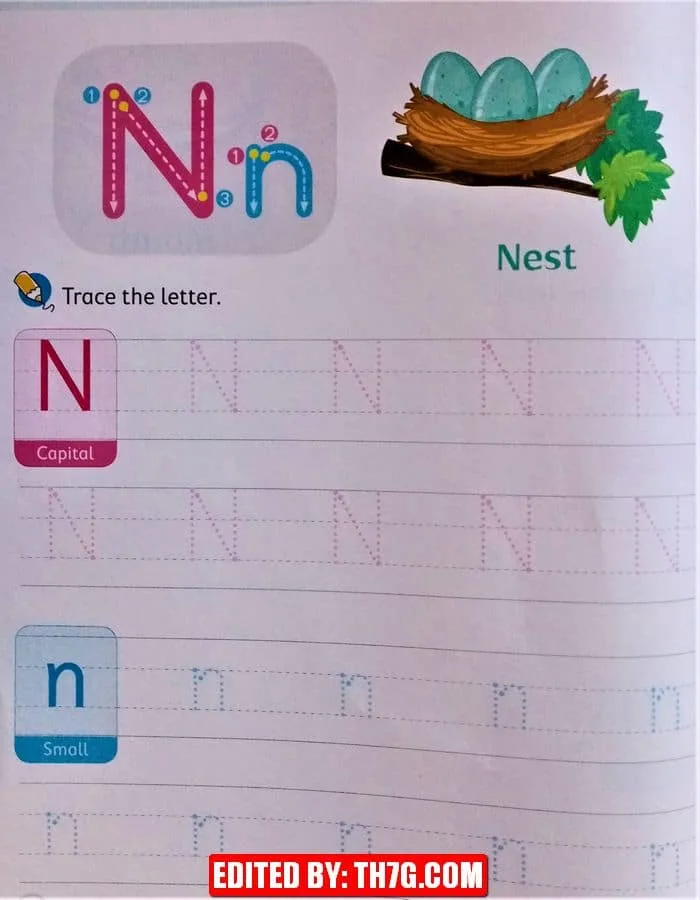 ورقة عمل لتعلم كتابة الحروف الإنجليزية كابيتال وسمول 14