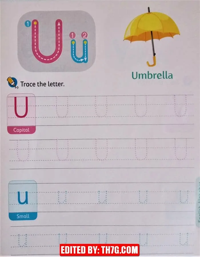 ورقة عمل لتعلم كتابة الحروف الإنجليزية كابيتال وسمول 21