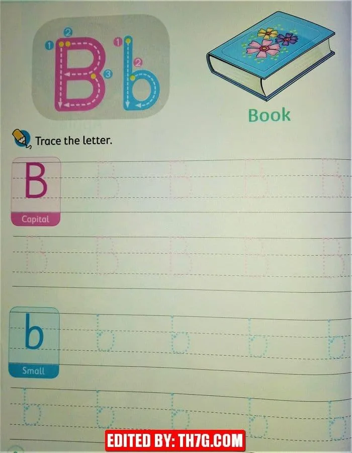 ورقة عمل لتعلم كتابة الحروف الإنجليزية كابيتال وسمول 2