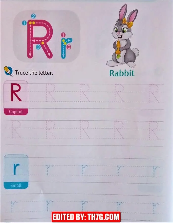 ورقة عمل لتعلم كتابة الحروف الإنجليزية كابيتال وسمول 18