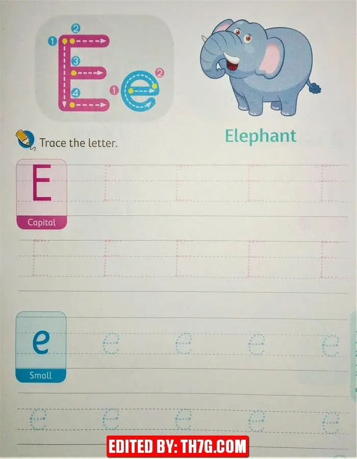 ورقة عمل لتعلم كتابة الحروف الإنجليزية كابيتال وسمول 5
