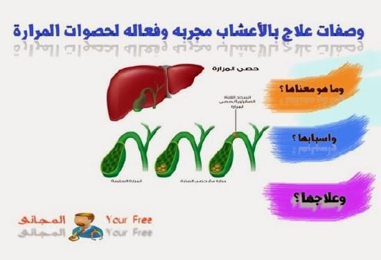 موقع الجيل السابع