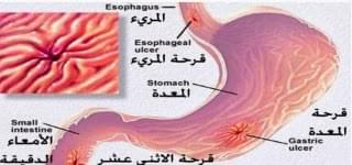 موقع الجيل السابع