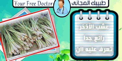 موقع الجيل السابع